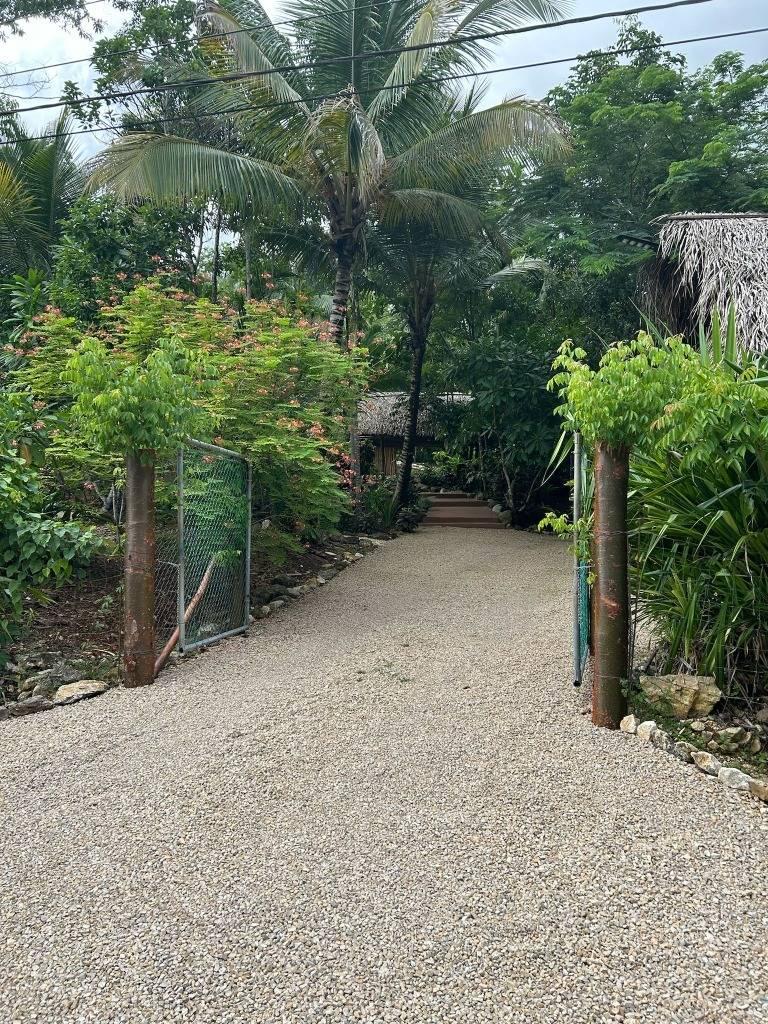 listing image with ID 65890