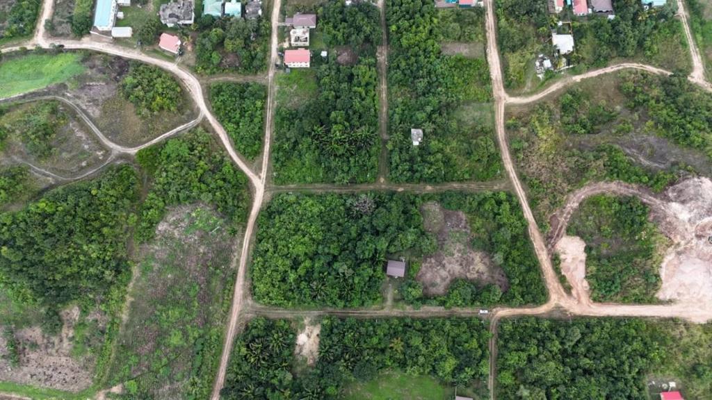 listing image with ID 64121