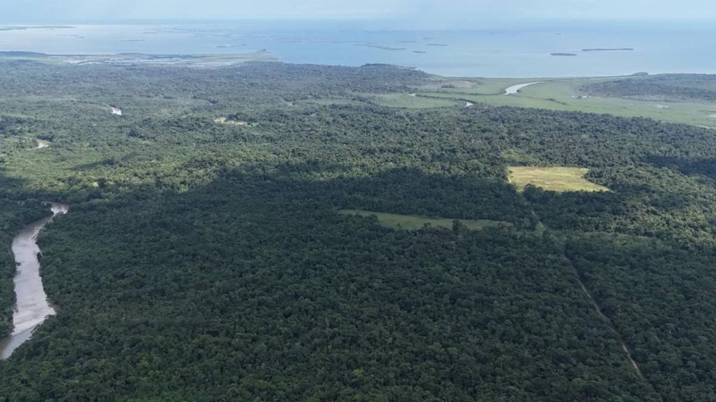 listing image with ID 65447