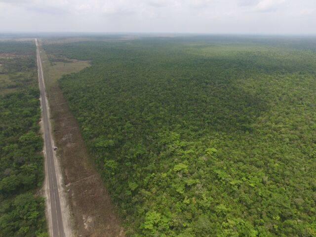 listing image with ID 66207