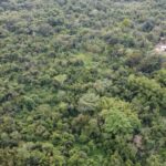 listing image thumbnail with ID 66580