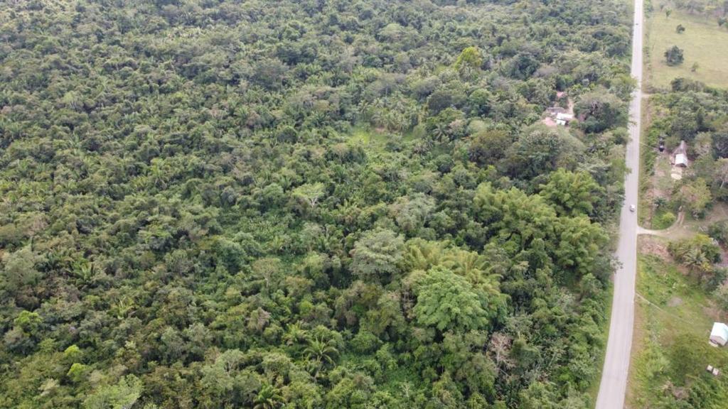 listing image with ID 66580