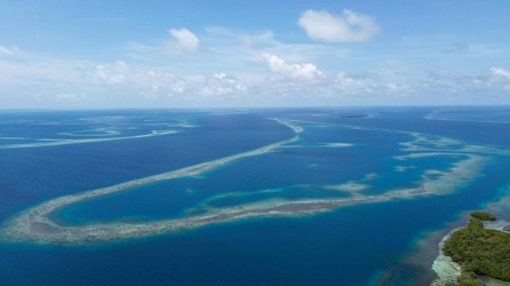 listing image with ID 65088