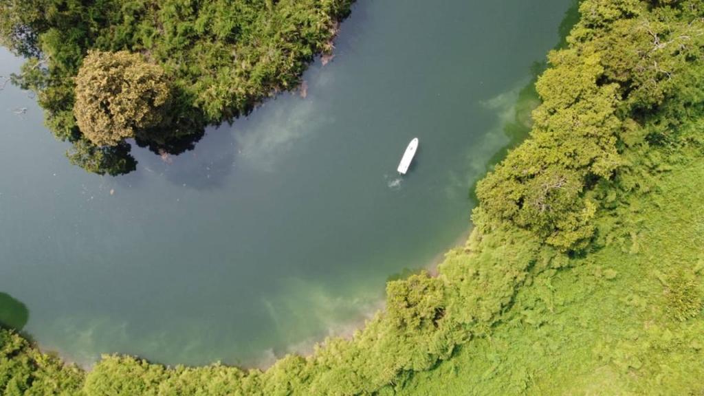 listing image with ID 64186