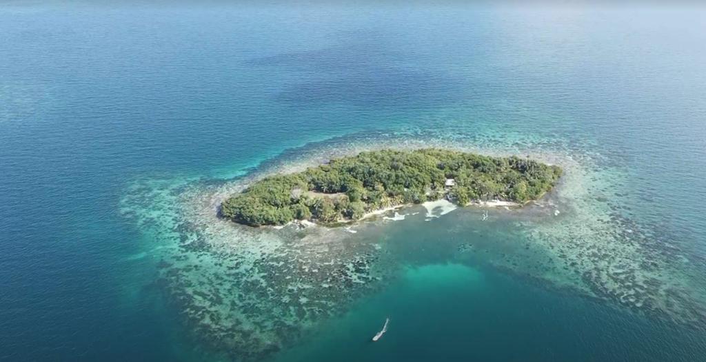 listing image with ID 68302