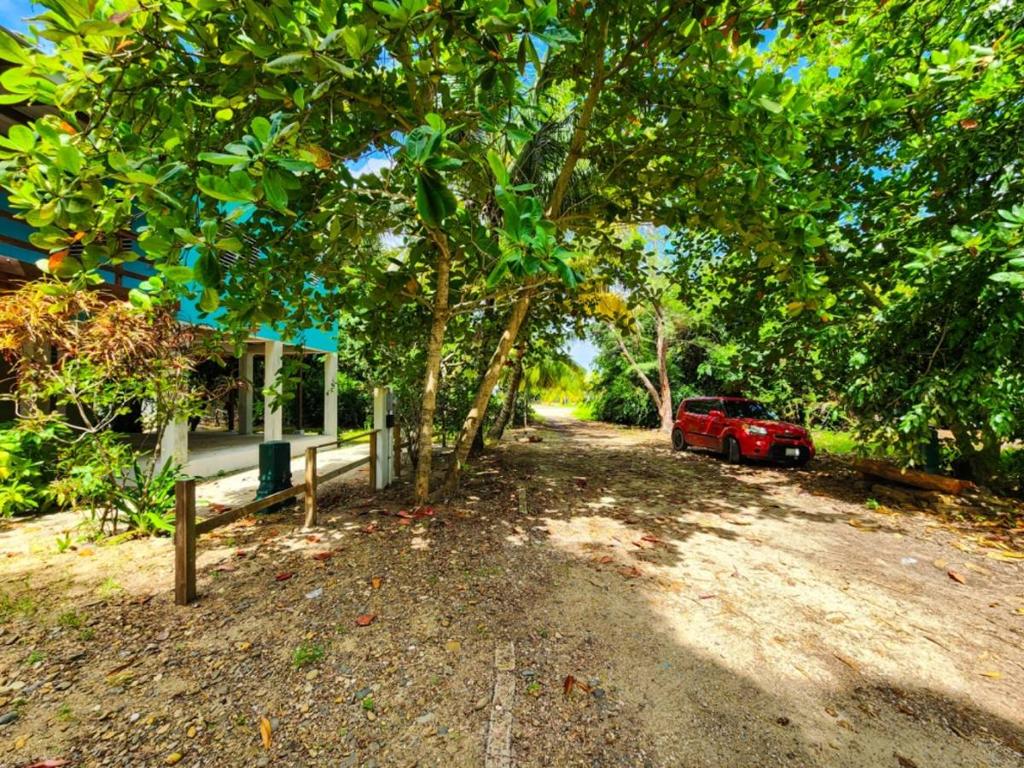 listing image with ID 64696