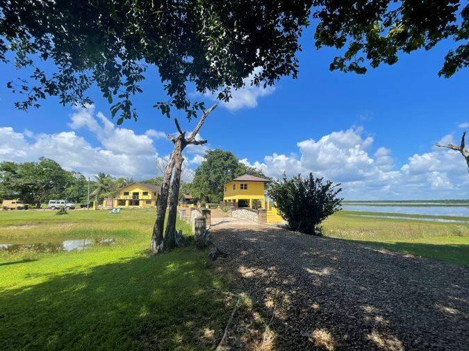 listing image with ID 67450