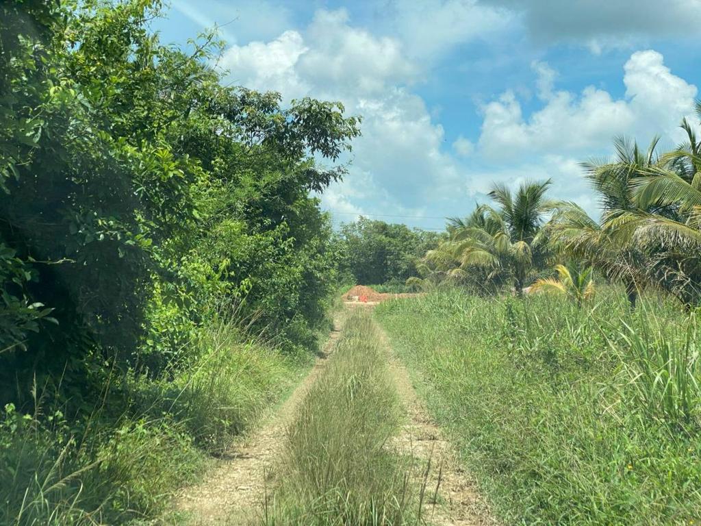 listing image with ID 67708