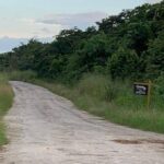 listing image thumbnail with ID 65023