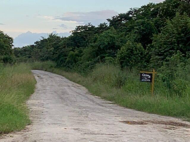 listing image with ID 65023