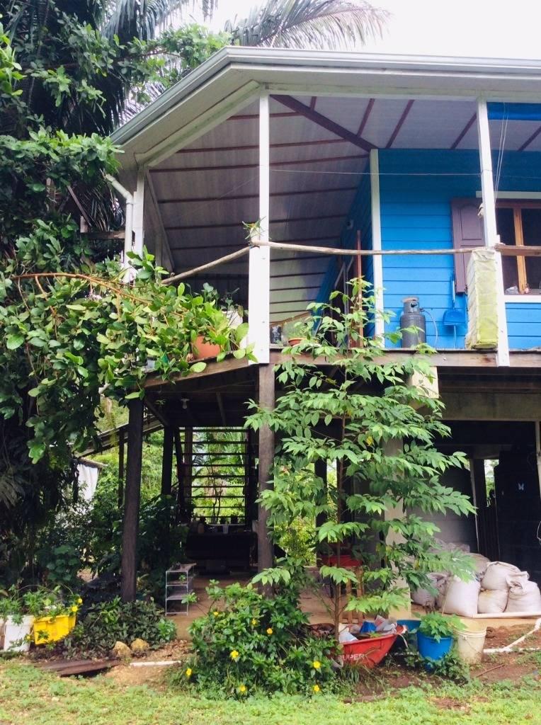 listing image with ID 67897