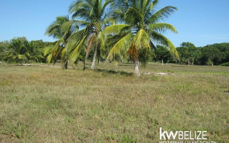 listing image with ID 69342