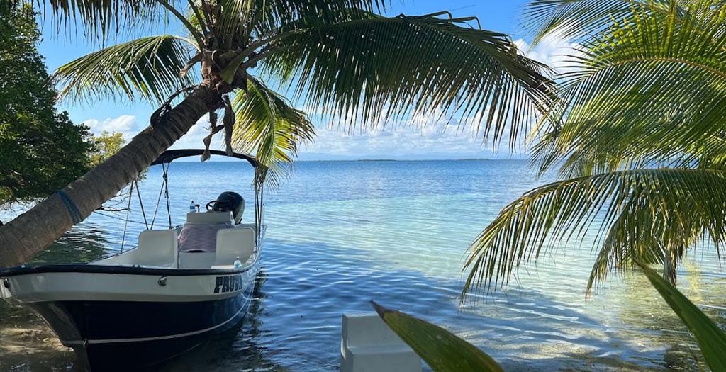 listing image with ID 68305