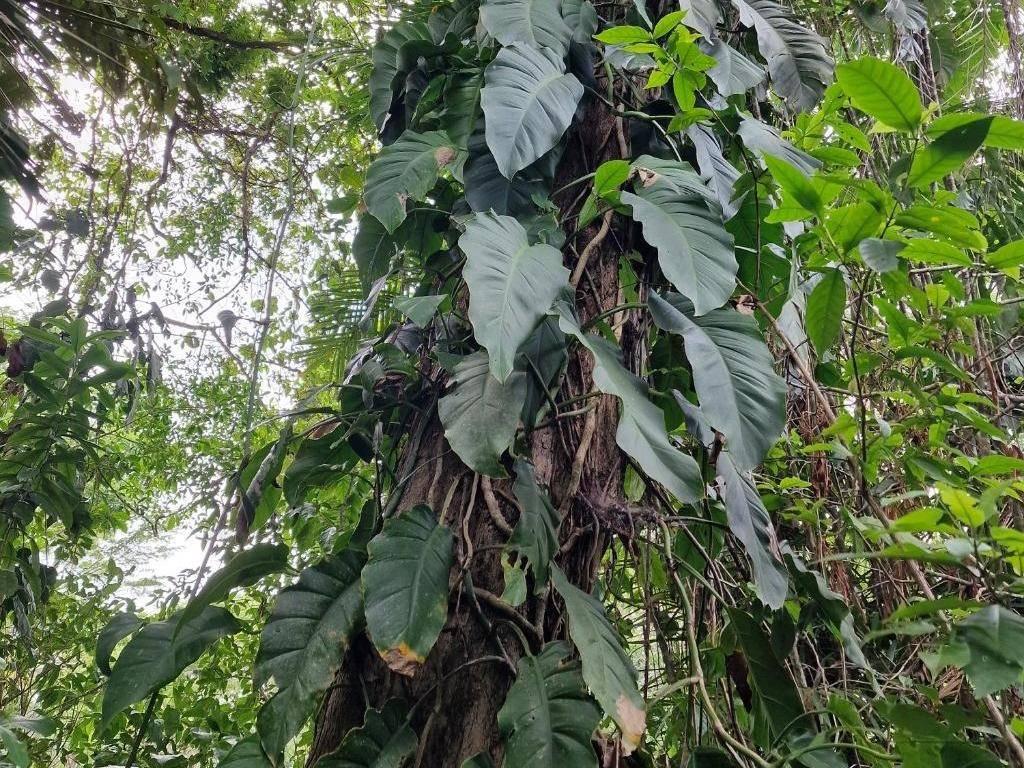 listing image with ID 63970