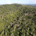 listing image thumbnail with ID 67755