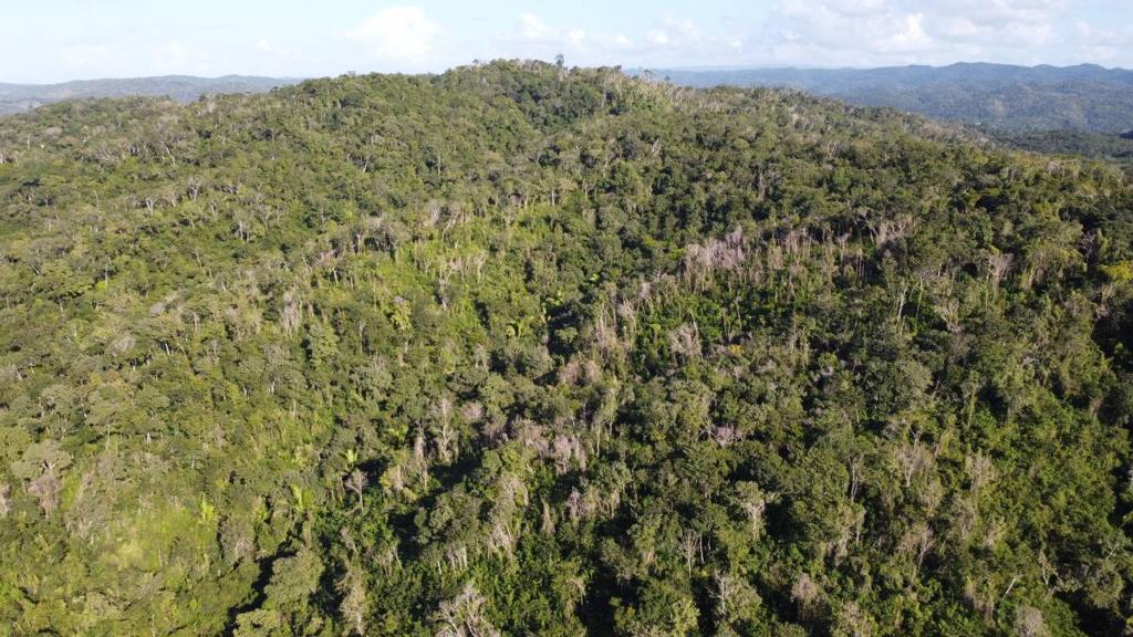 listing image with ID 67755