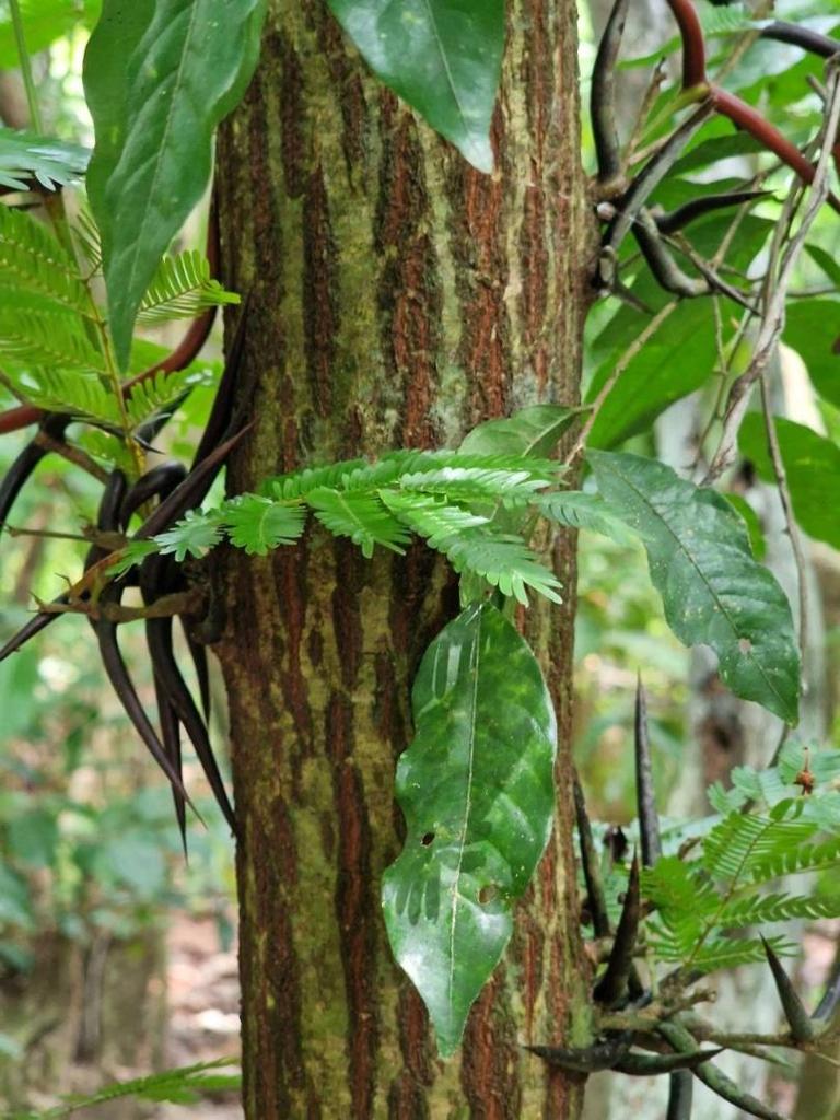 listing image with ID 63978