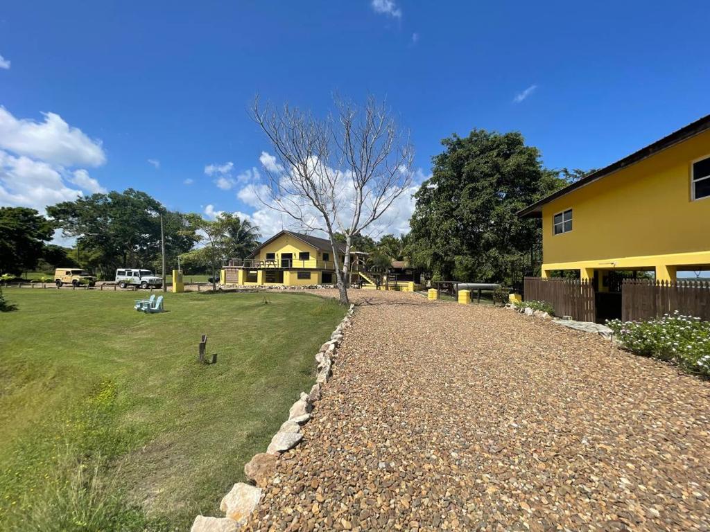 listing image with ID 67443