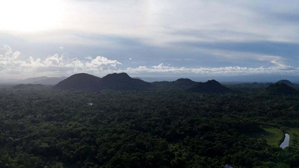 listing image with ID 67189