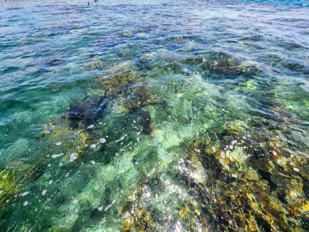 listing image with ID 65081