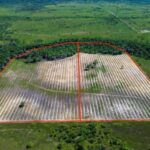 listing image thumbnail with ID 65294