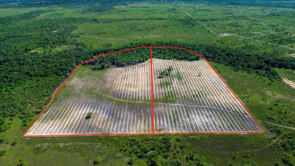 listing image with ID 65294