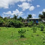 listing image thumbnail with ID 67889