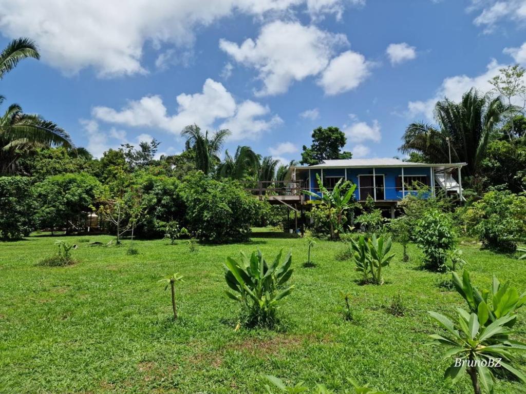 listing image with ID 67889