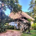 listing image thumbnail with ID 65535