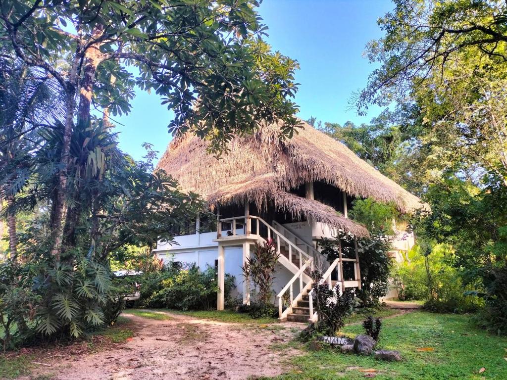 listing image with ID 65535