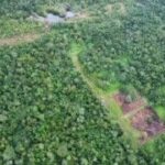 listing image thumbnail with ID 65831