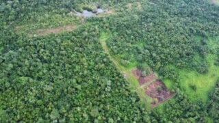 listing image with ID 65831