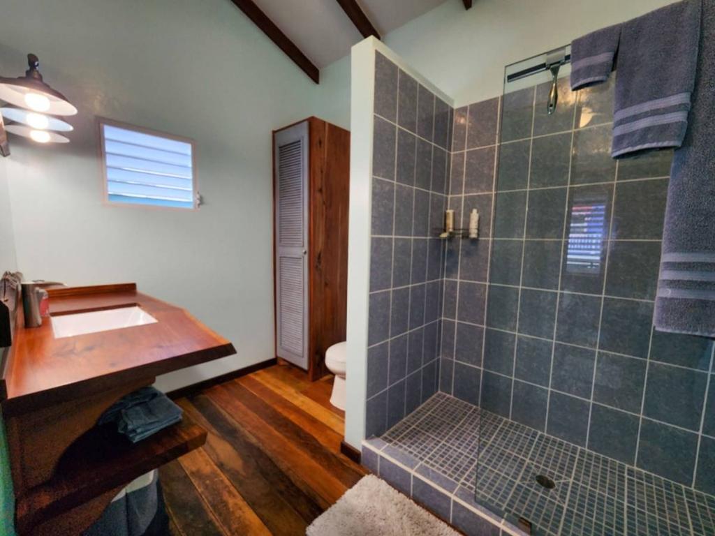 listing image with ID 64685