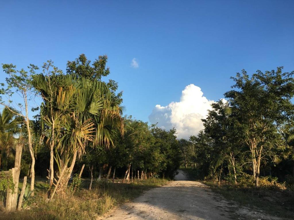 listing image with ID 64915