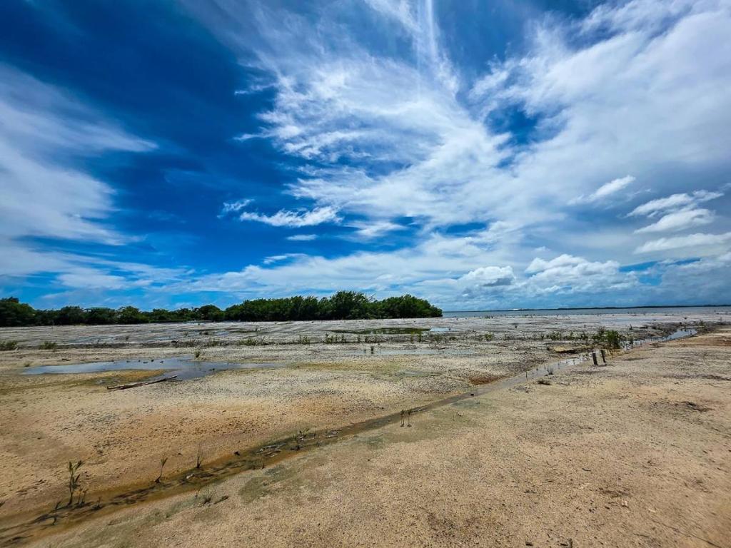 listing image with ID 67597