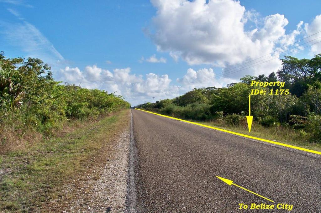 listing image with ID 64630