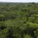 listing image thumbnail with ID 66283