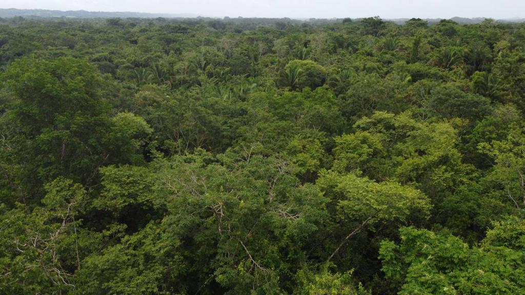 listing image with ID 66283