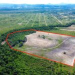 listing image thumbnail with ID 65291