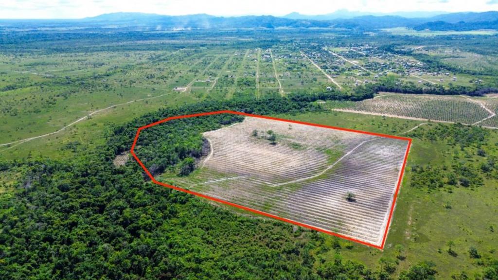 listing image with ID 65291