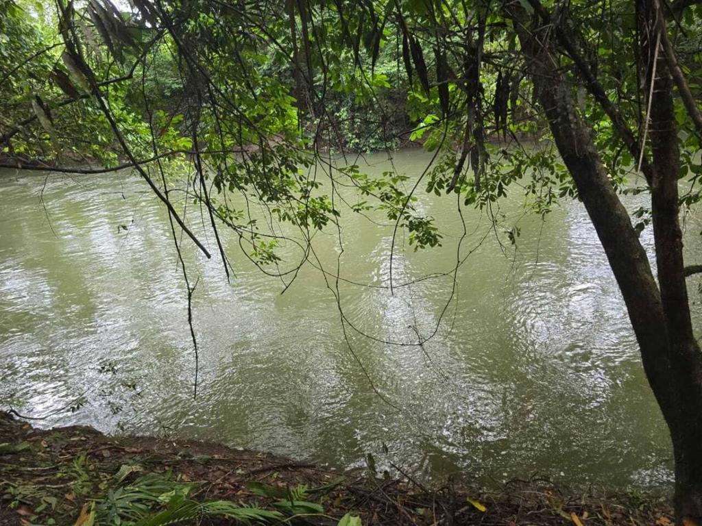 listing image with ID 65222