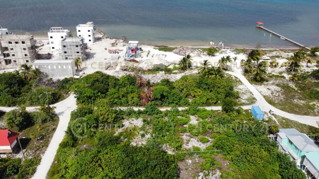 listing image with ID 66524