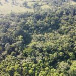 listing image thumbnail with ID 66096