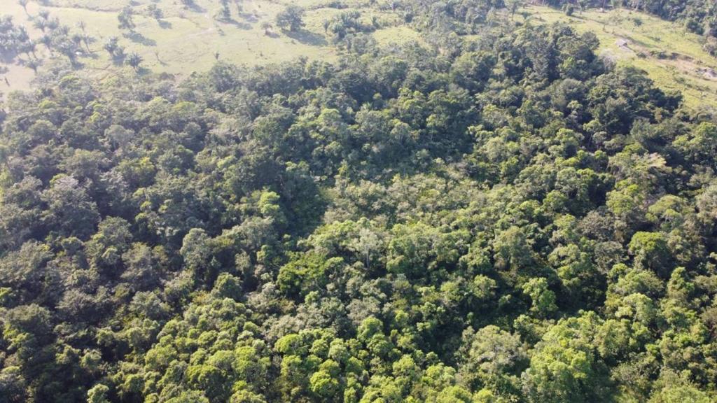 listing image with ID 66096