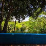 listing image thumbnail with ID 64279