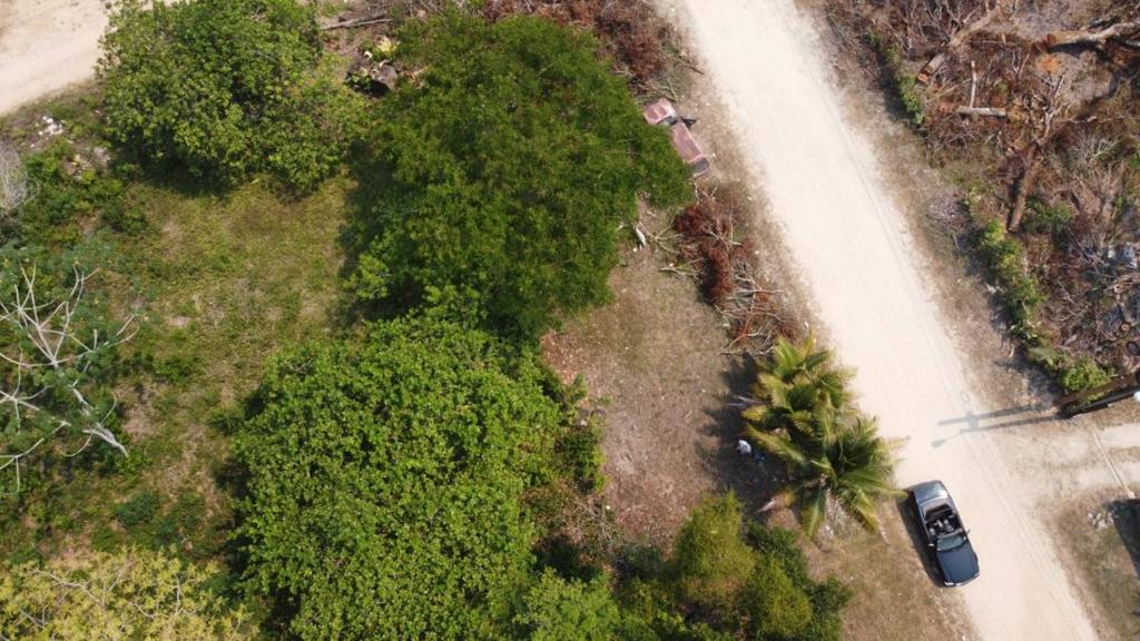 listing image with ID 65112