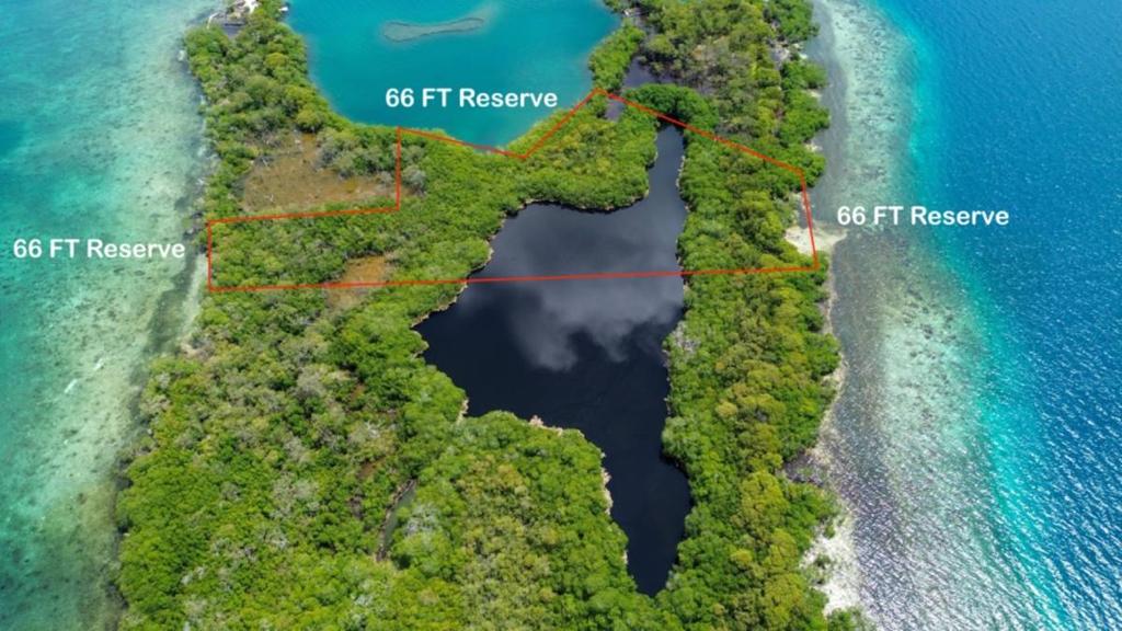 listing image with ID 66832