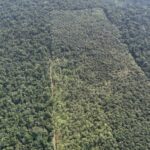 listing image thumbnail with ID 68061