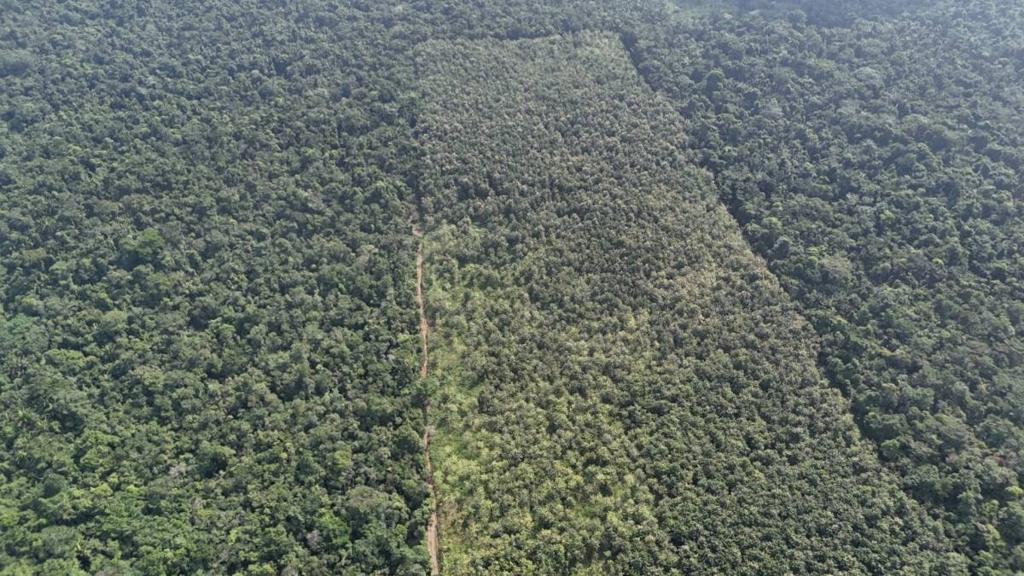 listing image with ID 68061