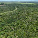 listing image thumbnail with ID 66659